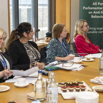 4 members of the APPG sat at the table